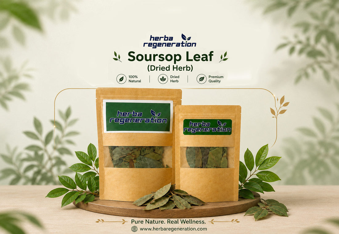 Soursop leaves for sale