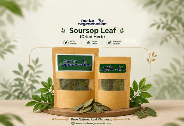 Soursop leaves for sale