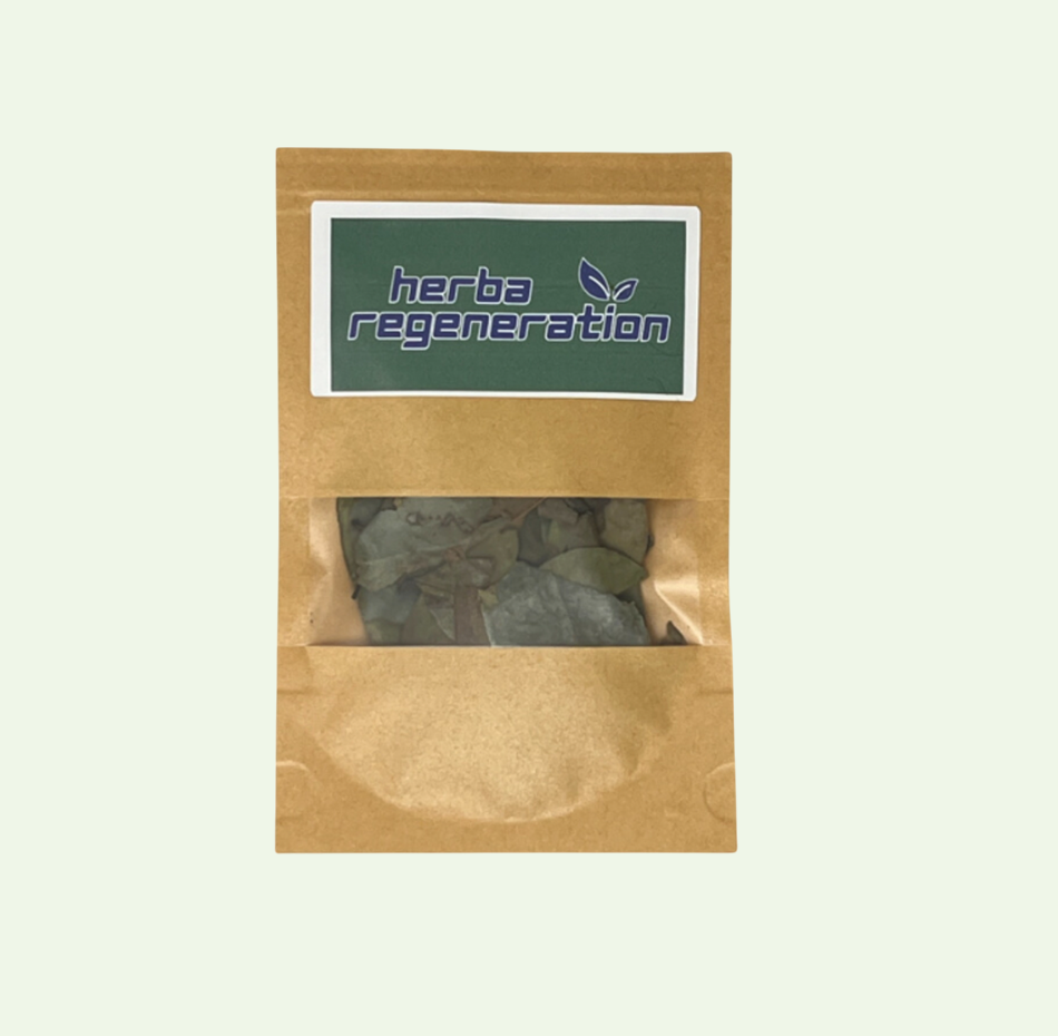 Soursop Leaf (dried herb)