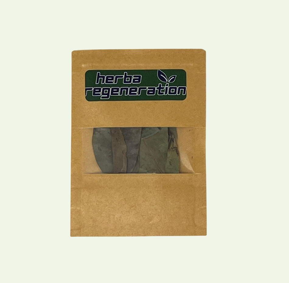 Soursop Leaf (dried herb)