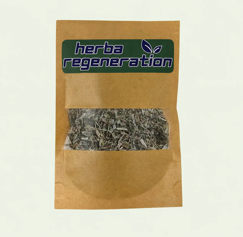 Blue-Vervain-2
