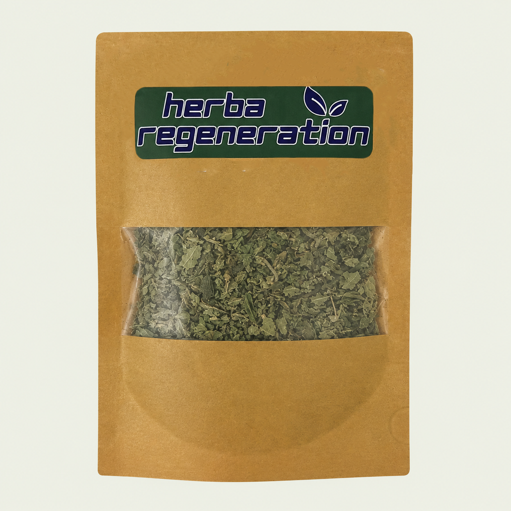 Nettle Leaf -2